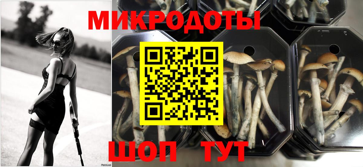 Псилоцибиновые грибы ЛСД Михайловск